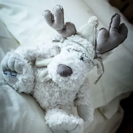 Maison Julie-lungo La Via Francigena *