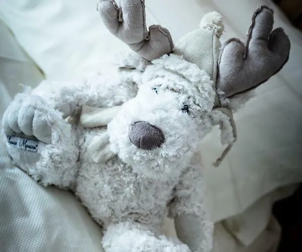 Maison Julie-lungo La Via Francigena *